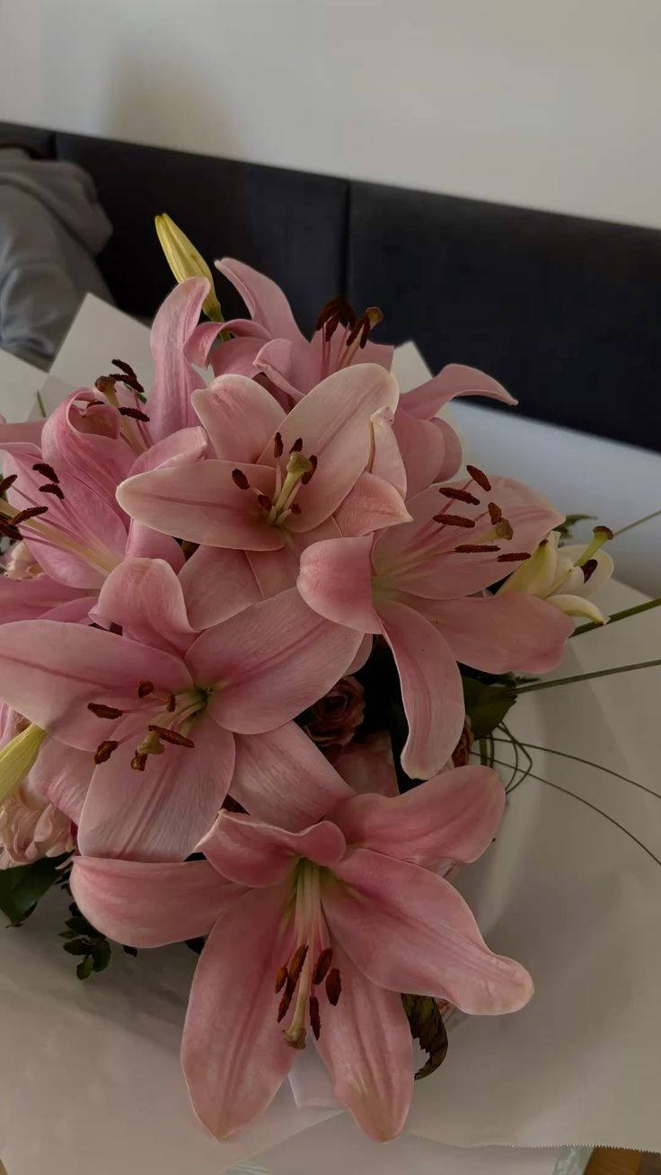 Розовая лилия