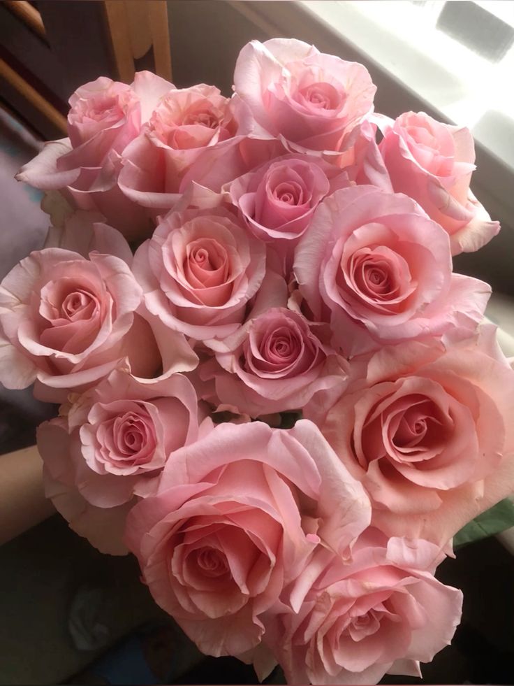 Розовая роза