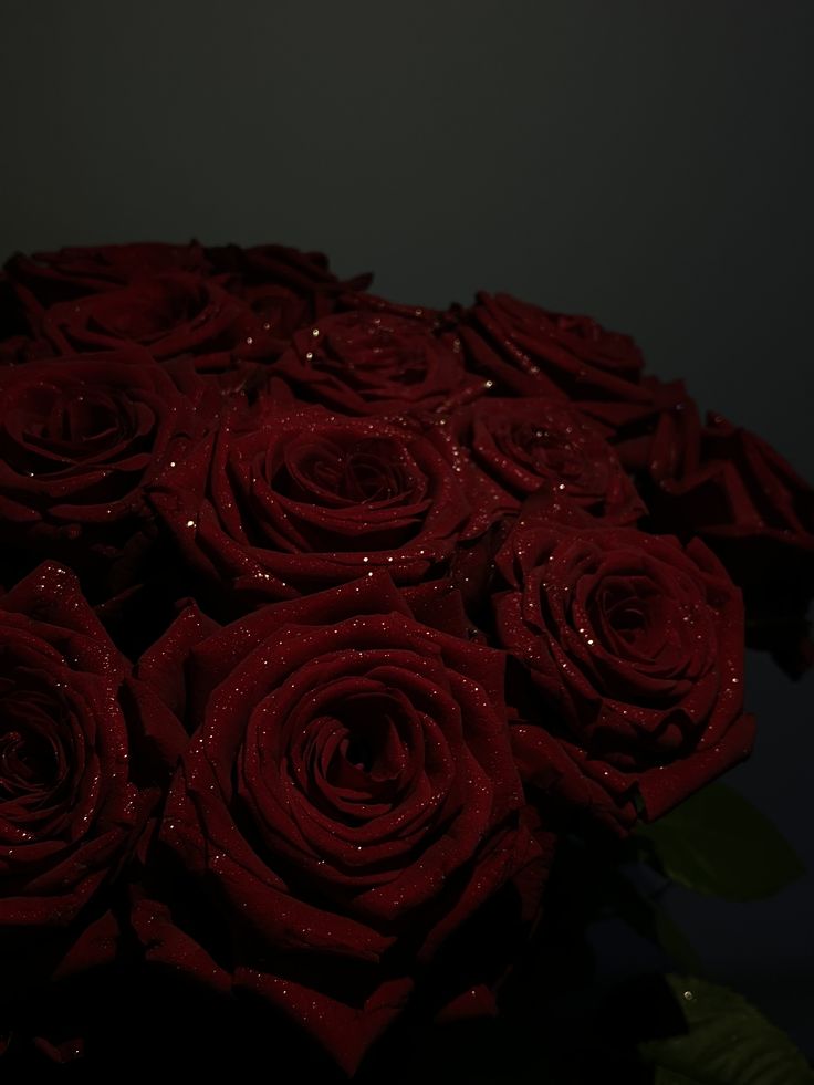 Красная роза