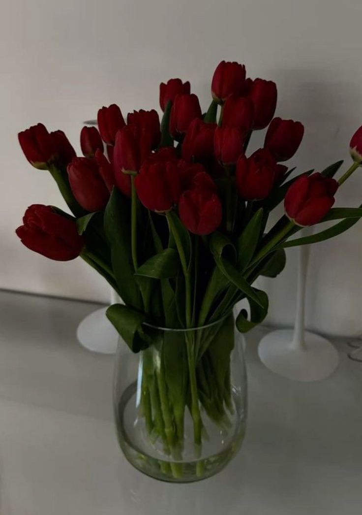 Красный тюльпан